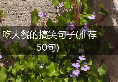 吃大餐的搞笑句子(推荐50句)