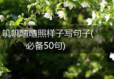 叽叽喳喳照样子写句子(必备50句)