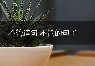 不管造句 不管的句子
