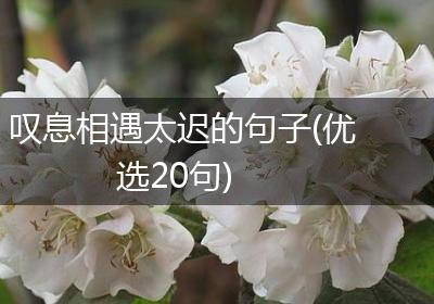 叹息相遇太迟的句子(优选20句)