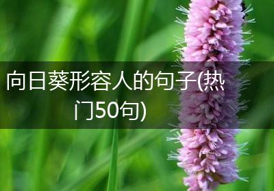 向日葵形容人的句子(热门50句)