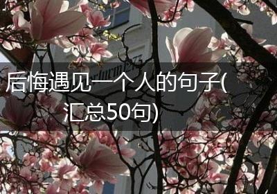 后悔遇见一个人的句子(汇总50句)
