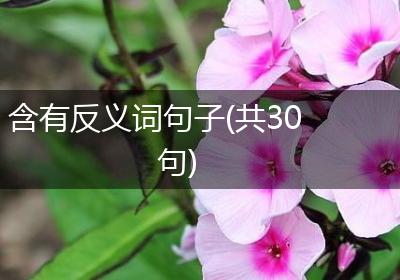 含有反义词句子(共30句)