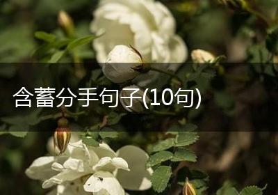 含蓄分手句子(10句)