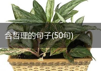 含哲理的句子(50句)