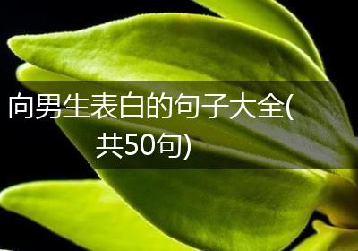 向男生表白的句子大全(共50句)