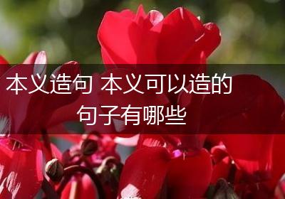 本义造句 本义可以造的句子有哪些