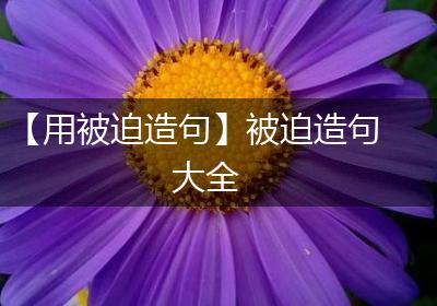 【用被迫造句】被迫造句大全