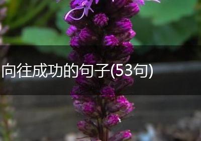 向往成功的句子(53句)