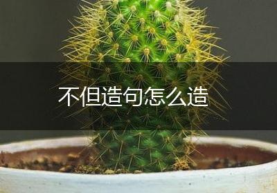 不但造句怎么造