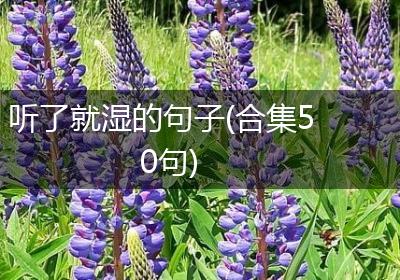 听了就湿的句子(合集50句)
