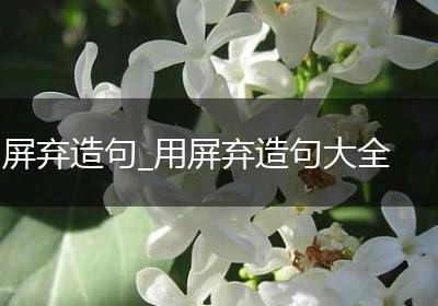 屏弃造句_用屏弃造句大全