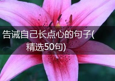 告诫自己长点心的句子(精选50句)