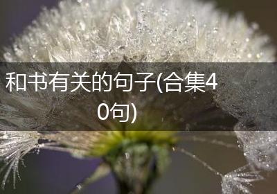 和书有关的句子(合集40句)