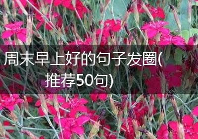 周末早上好的句子发圈(推荐50句)
