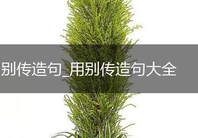 别传造句_用别传造句大全