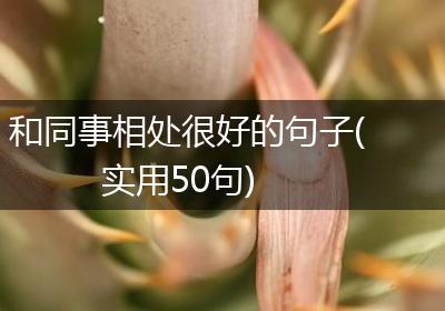 和同事相处很好的句子(实用50句)