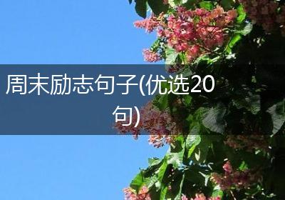 周末励志句子(优选20句)