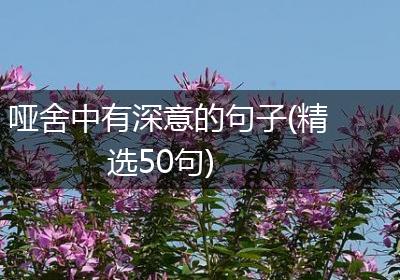 哑舍中有深意的句子(精选50句)