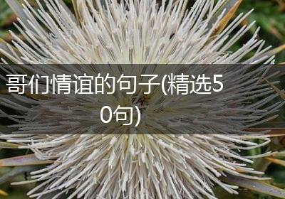 哥们情谊的句子(精选50句)