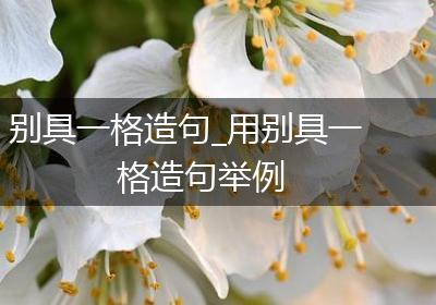 别具一格造句_用别具一格造句举例