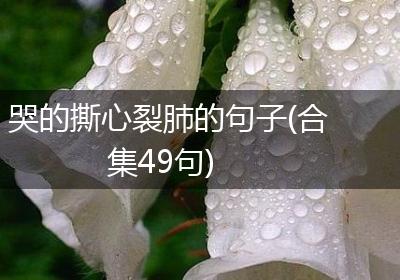 哭的撕心裂肺的句子(合集49句)