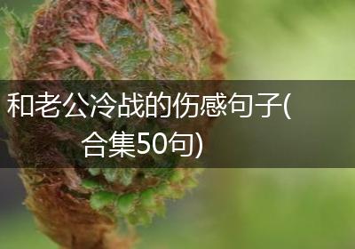 和老公冷战的伤感句子(合集50句)
