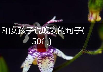 和女孩子说晚安的句子(50句)