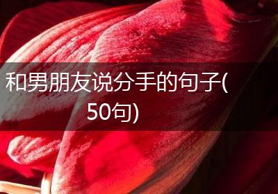 和男朋友说分手的句子(50句)