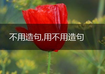 不用造句,用不用造句
