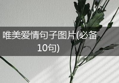 唯美爱情句子图片(必备10句)