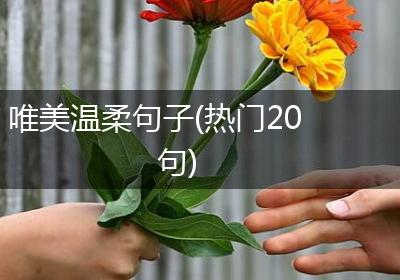 唯美温柔句子(热门20句)