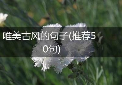 唯美古风的句子(推荐50句)