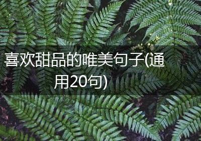 喜欢甜品的唯美句子(通用20句)
