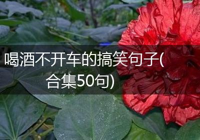 喝酒不开车的搞笑句子(合集50句)