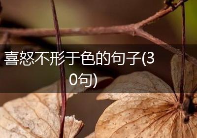 喜怒不形于色的句子(30句)