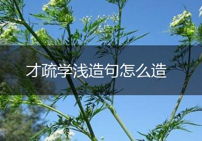 才疏学浅造句怎么造