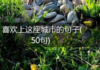 喜欢上这座城市的句子(50句)