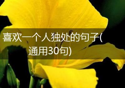 喜欢一个人独处的句子(通用30句)