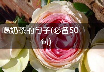 喝奶茶的句子(必备50句)