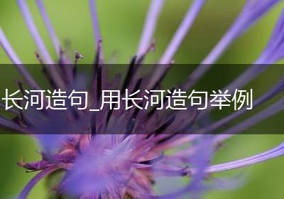 长河造句_用长河造句举例