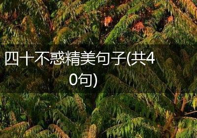 四十不惑精美句子(共40句)