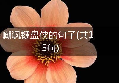 嘲讽键盘侠的句子(共15句)
