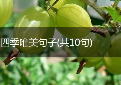 四季唯美句子(共10句)