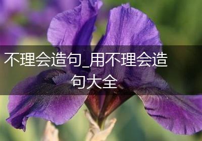 不理会造句_用不理会造句大全