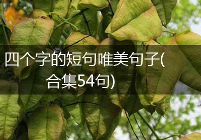 四个字的短句唯美句子(合集54句)