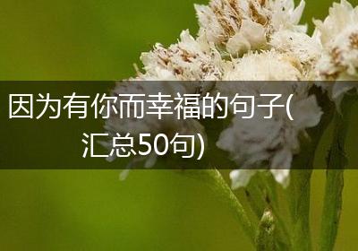 因为有你而幸福的句子(汇总50句)