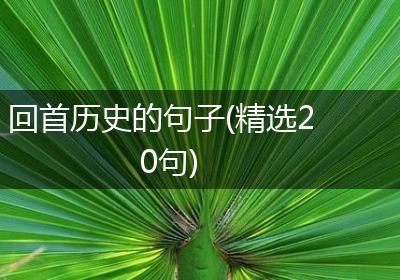 回首历史的句子(精选20句)