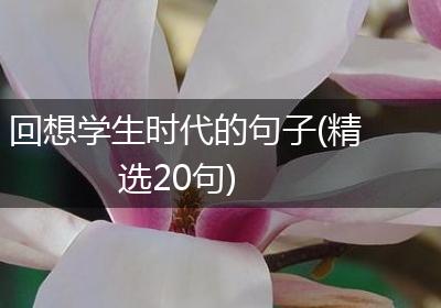 回想学生时代的句子(精选20句)