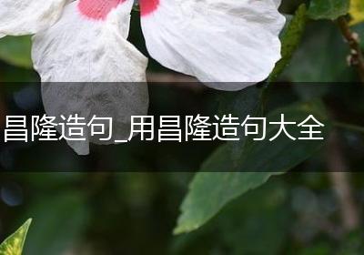 昌隆造句_用昌隆造句大全